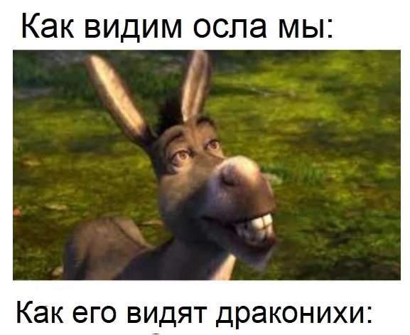 1631779188712.webp