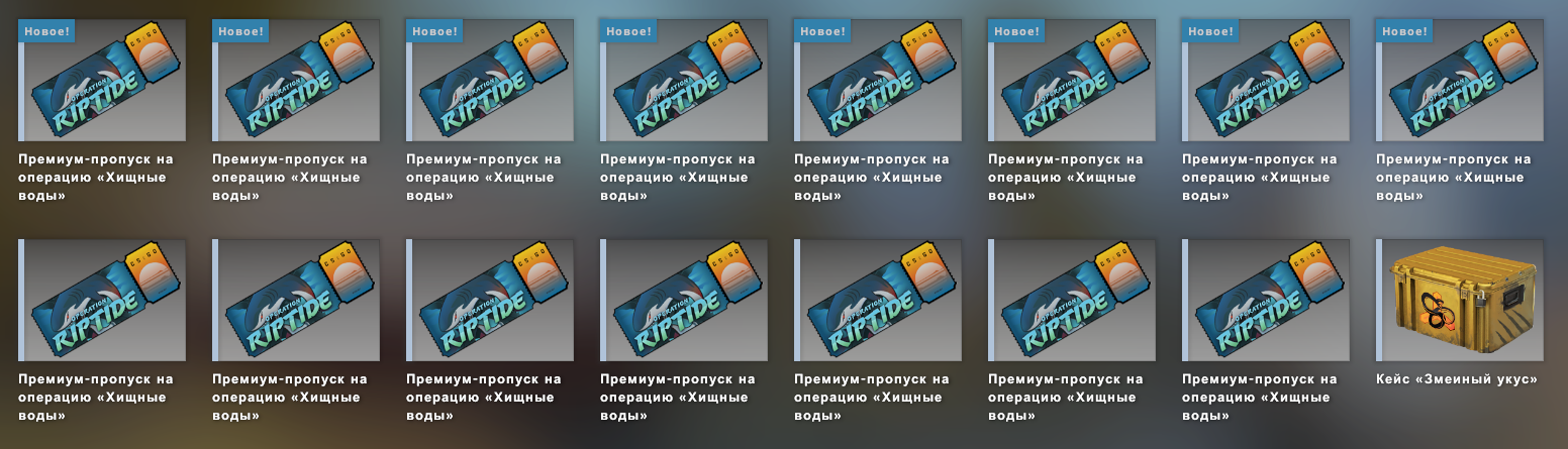 1632406657313.webp