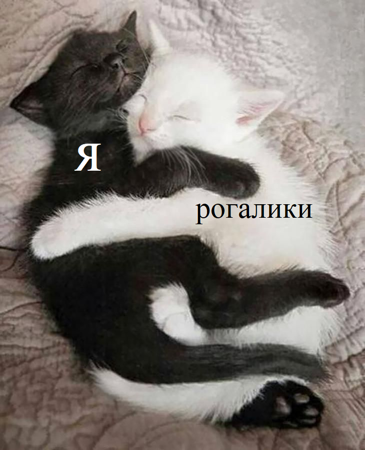 1633196165805.webp