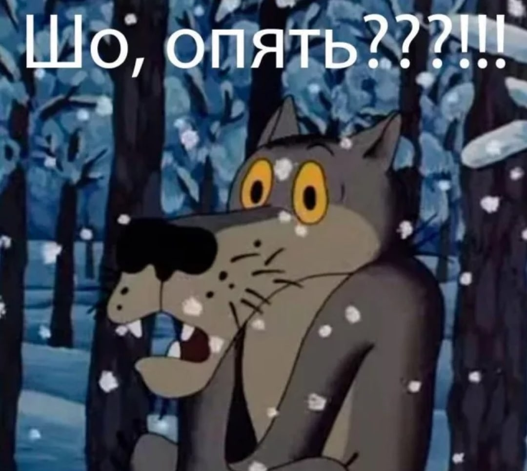 1633772637878.webp
