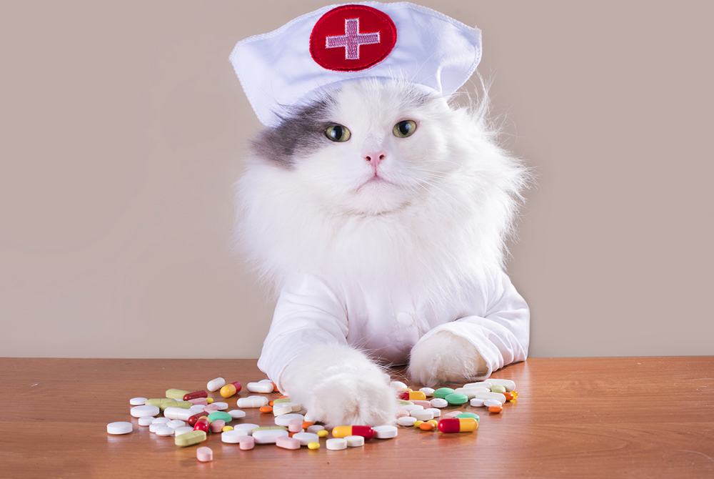 1633801397778.webp