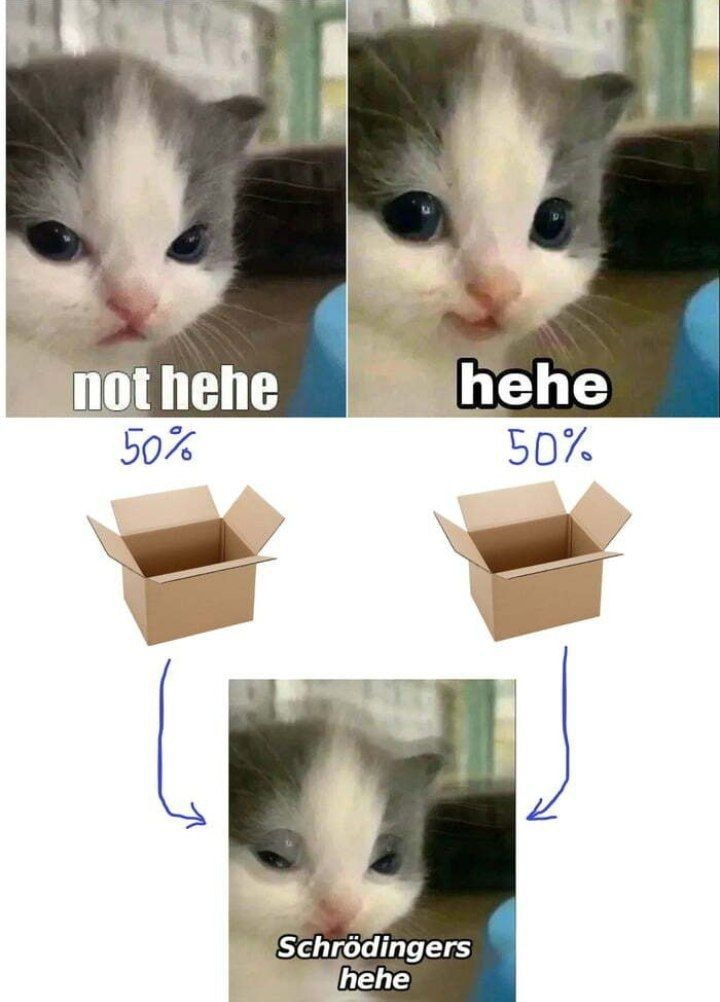 1633973292508.webp