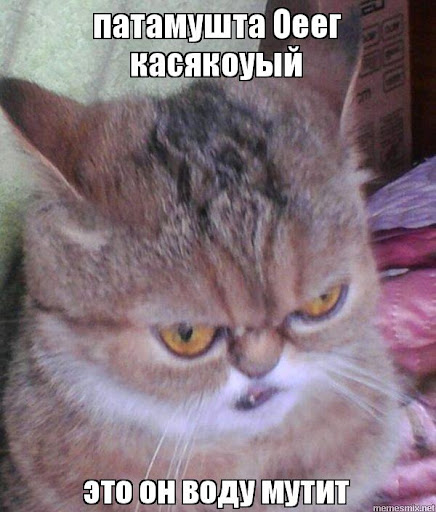 1634040068320.webp