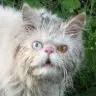 1634677809185.webp