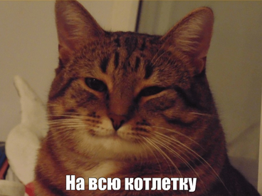 1634984620586.webp