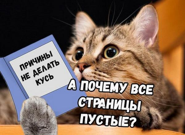 1635181385429.png