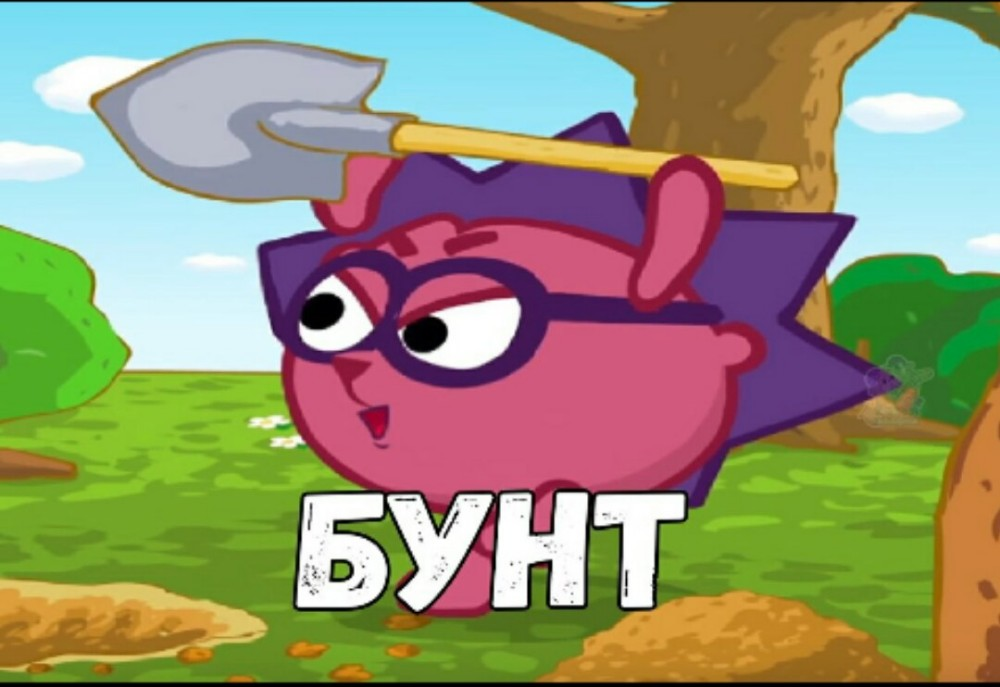 1635790954031.webp