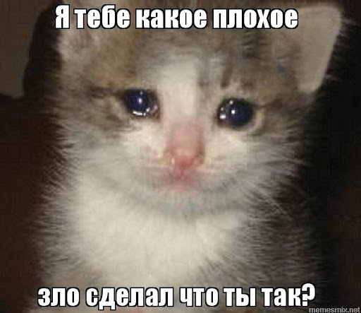 1636134682783.webp