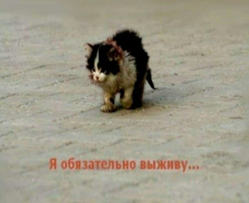 1636316167473.webp