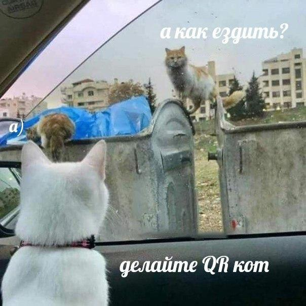 1636744328488.webp