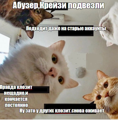 1636810064678.webp