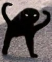 1636820319543.webp