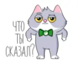 1636851453015.png
