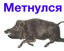 1637251344461.webp