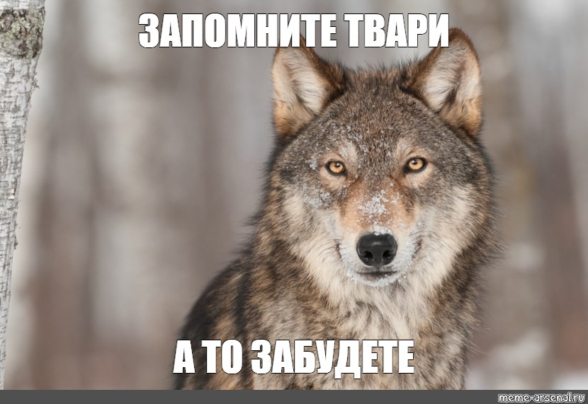 1637269564960.webp