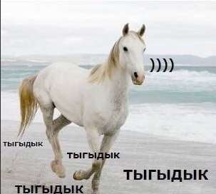 1637603968024.webp