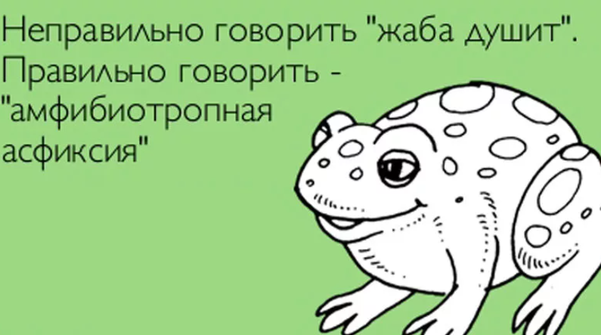 1637768035075.webp
