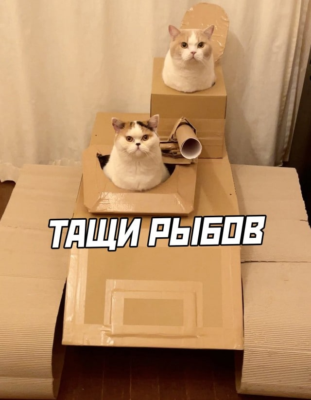 1638171994608.webp