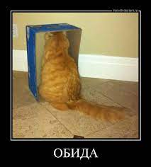 1638229626367.webp
