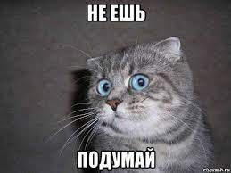 1638236026647.webp