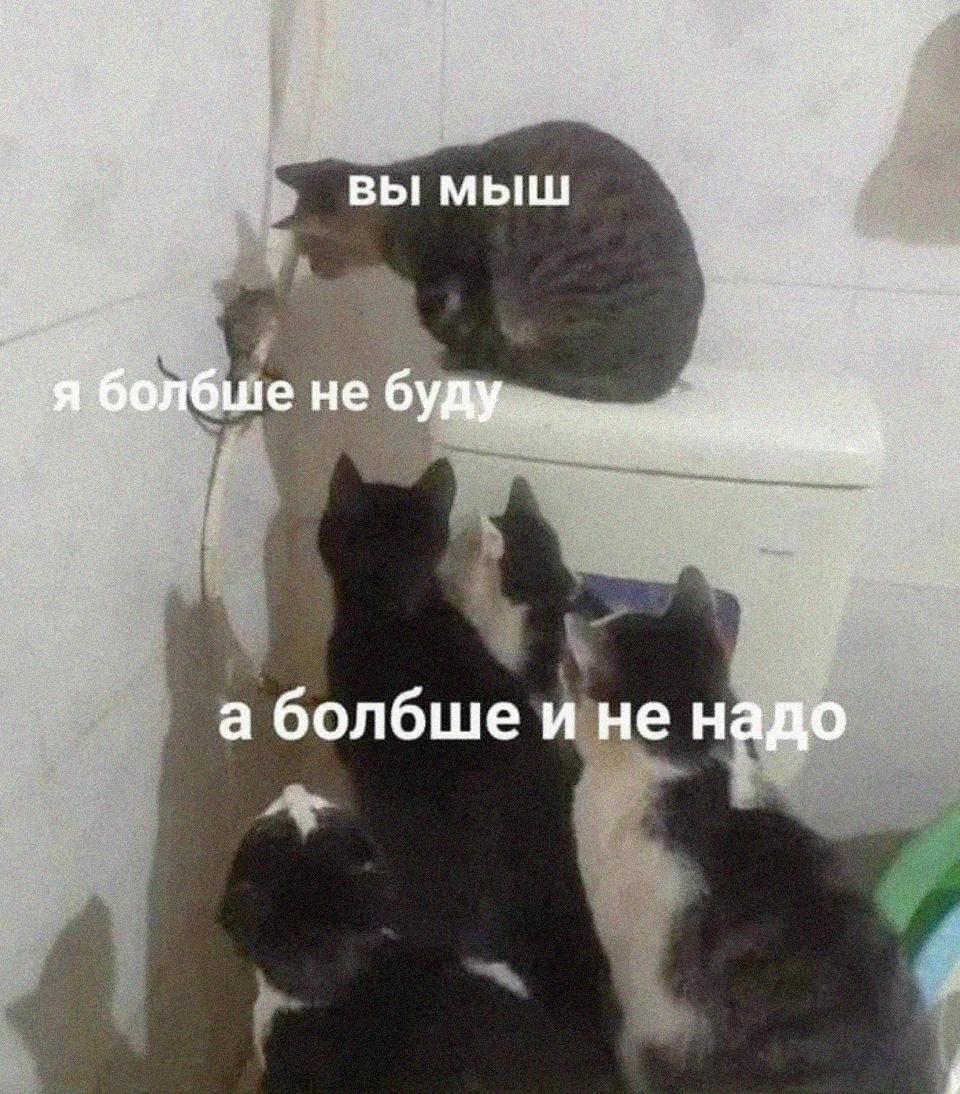 1638268517804.webp