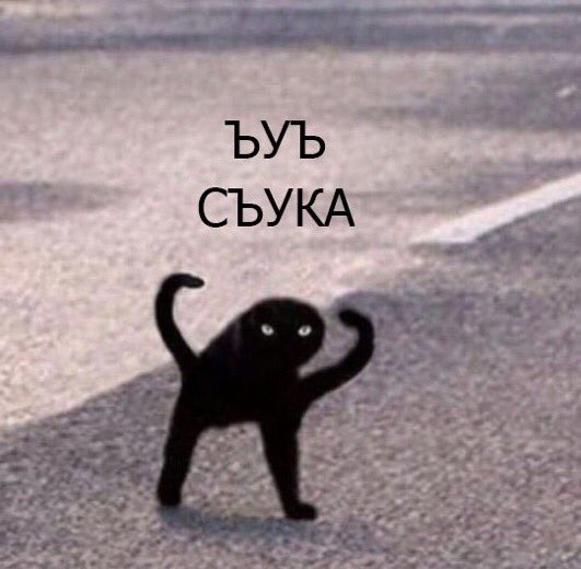1638293915647.webp