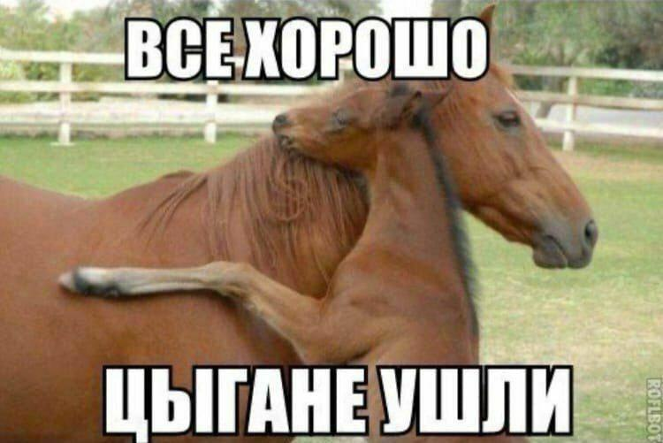 1638386722731.webp