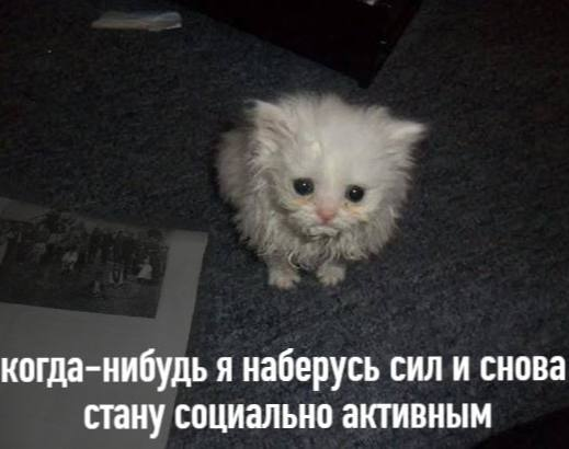 1638809522707.png