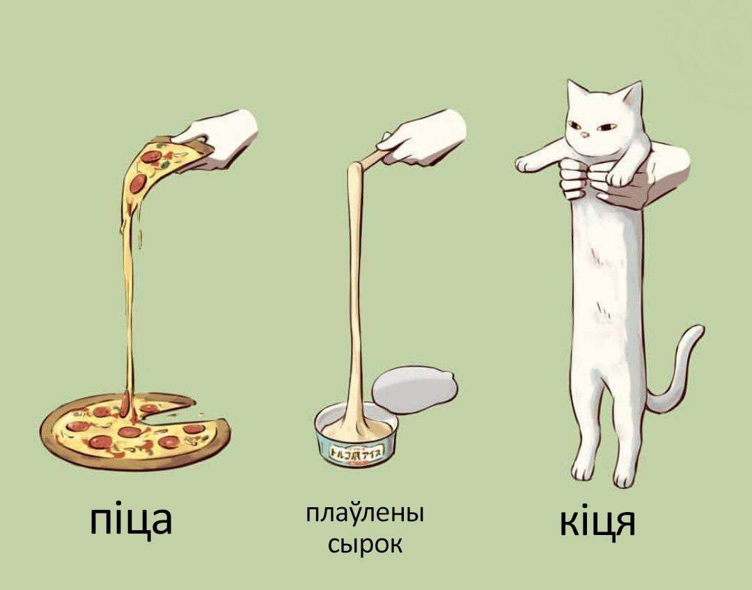 Длинный кот рисунок