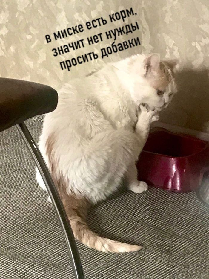 1639076251271.png
