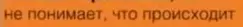 1639304503089.webp