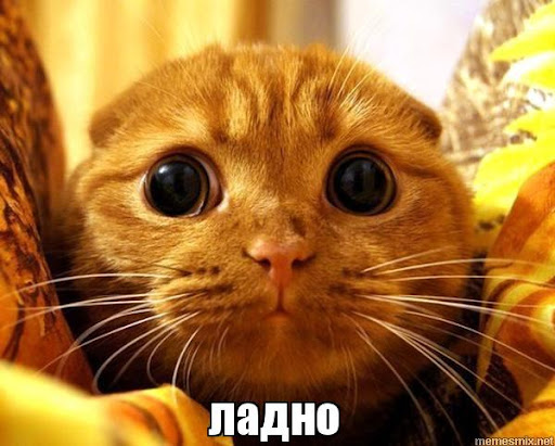 1639733586250.png