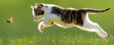 1639851230248.webp