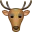1639852359806.webp
