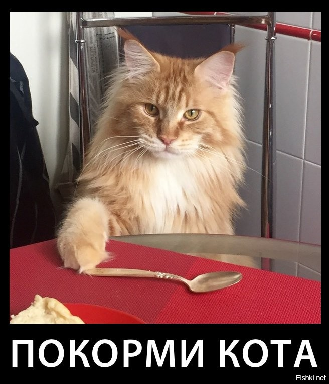 1640380880273.webp