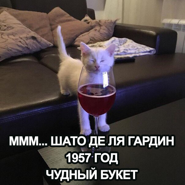 1640559389234.webp