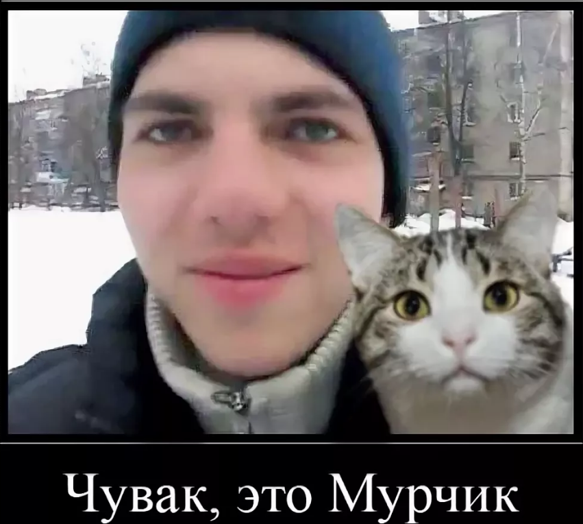 1640792245289.webp