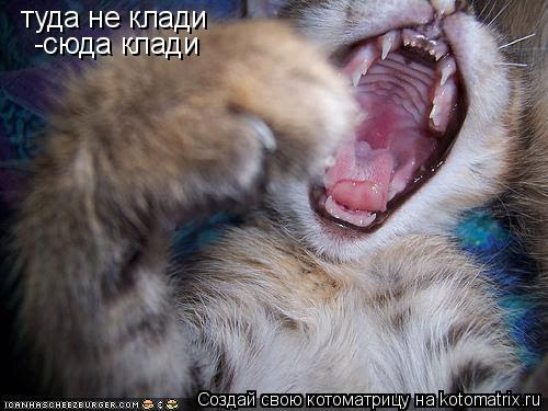 1640797375053.webp