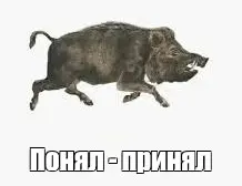 1640806700249.webp