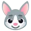 1641321234108.webp