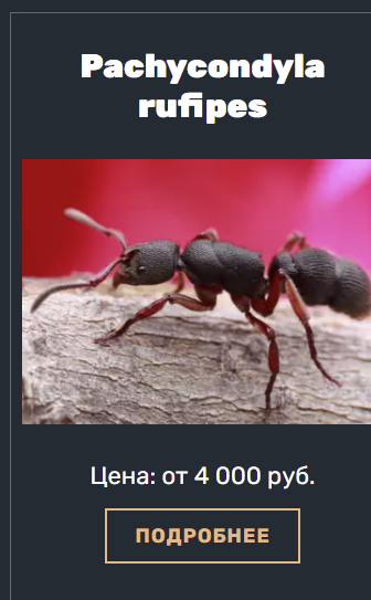 1641406380832.webp