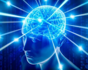 1641569428707.webp