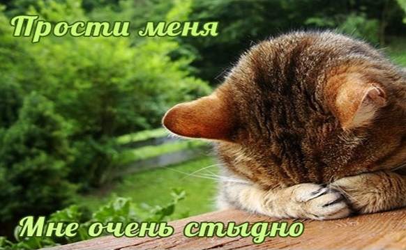 1641946251919.webp