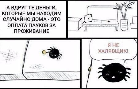 1642009446987.webp
