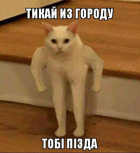1642191857848.webp
