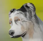 1642246581969.webp