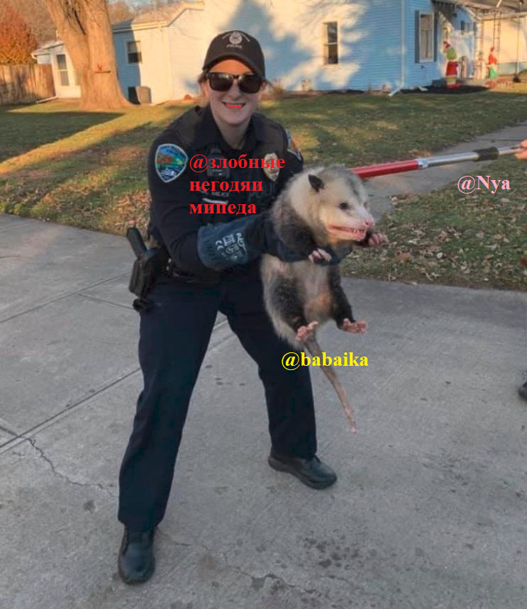 1642279764445.png