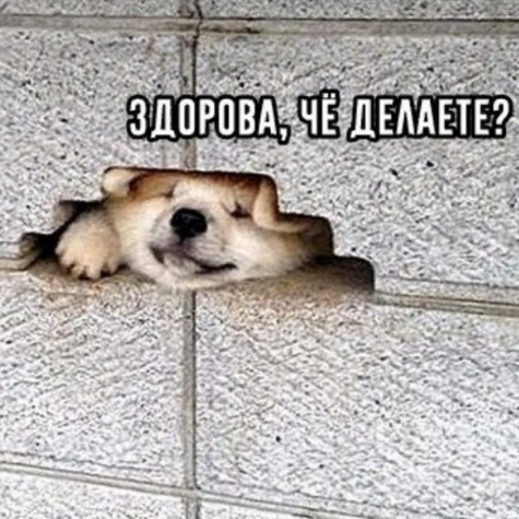 1642340060844.png