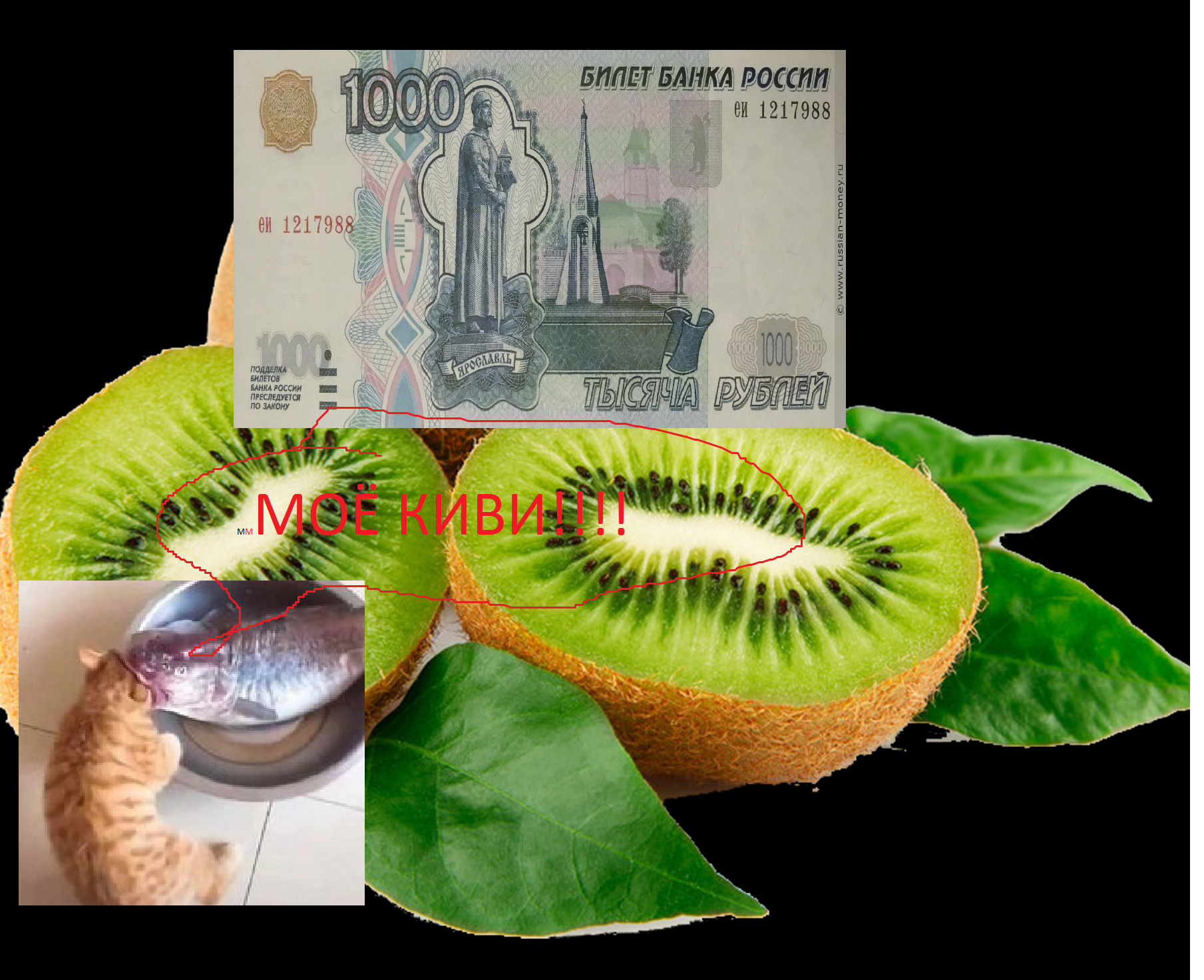 1642348166974.webp