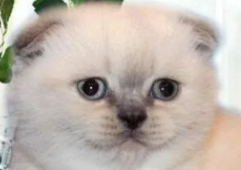 1642449733569.webp
